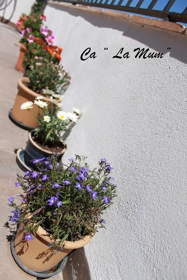 Hostal Ca La Mum Tivissa
